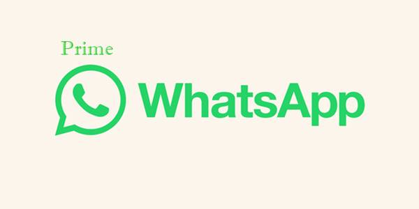 Mengenal Lebih Tentang WhatsApp Prime