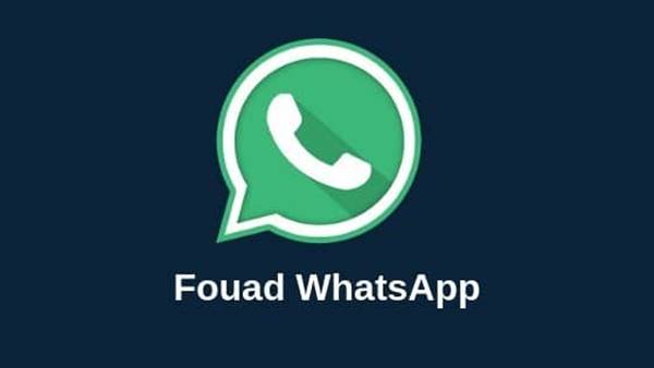 Tentang Fouad WhatsApp Mod Apk