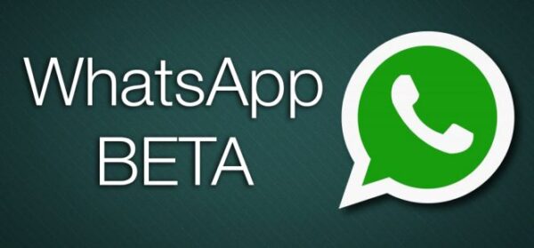 Panduan Install WhatsApp Beta Apk Secara Manual