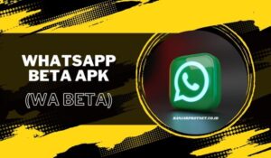 WhatsApp Beta Apk (WA Beta) Update Versi Terbaru 2023 Asli