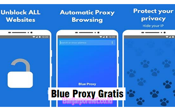 Tutorial Cara Instal Blue Proxy Gratis pada perangkat Android & IOS