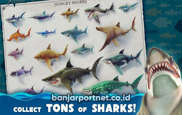 Bukan-Hiu-Biasa-Fitur-yang-Bikin-Kaget-di-Game-Hungry-Shark-World-Mod-APK-All-Sharks-Unlocked-Terbaru-2023